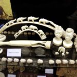 Święty Krzyż. Wystawa misyjna i spotkanie ojcem misjonarzem Władysławem Koziołem / Jarosław Kubalski / Radio Kielce