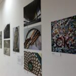 Ciekoty. Podsumowanie akcji "Kwiatki w betonie" / Ryszard Koziej / Radio Kielce