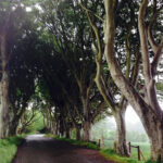 Muzyczne podróże przez świat. Irlandia Północna / Bożena Woźniczka