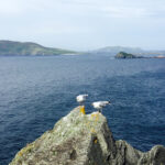 Muzyczne podróże przez świat. Irlandia Północna / Bożena Woźniczka