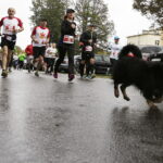 08.10.2017 Kielce. Bieg 6. Kielecka Dycha / Jarosław Kubalski / Radio Kielce