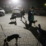 20.10.2017 Kielce. Mecz 13 kolejki PGNiG Superligi PGE Vive - MKS Kalisz. Podczas spotkania wolontariusze zbierali datki na rzecz schroniska dla zwierząt w Dyminach / Jarosław Kubalski / Radio Kielce