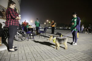 20.10.2017 Kielce. Mecz 13 kolejki PGNiG Superligi PGE Vive - MKS Kalisz. Podczas spotkania wolontariusze zbierali datki na rzecz schroniska dla zwierząt w Dyminach / Jarosław Kubalski / Radio Kielce