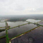 21.10.2017 Fałków. Stawy rybne. Przenoszenie karpia ze stawów do magazynów skąd będą odławiane przed świętami / Jarosław Kubalski / Radio Kielce