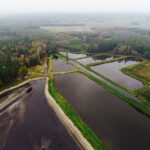 21.10.2017 Fałków. Stawy rybne. Przenoszenie karpia ze stawów do magazynów skąd będą odławiane przed świętami / Jarosław Kubalski / Radio Kielce