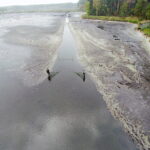 21.10.2017 Fałków. Stawy rybne. Przenoszenie karpia ze stawów do magazynów skąd będą odławiane przed świętami / Jarosław Kubalski / Radio Kielce