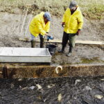 21.10.2017 Fałków. Stawy rybne. Przenoszenie karpia ze stawów do magazynów skąd będą odławiane przed świętami / Jarosław Kubalski / Radio Kielce