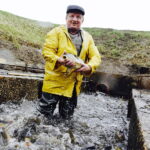 21.10.2017 Fałków. Stawy rybne. Przenoszenie karpia ze stawów do magazynów skąd będą odławiane przed świętami / Jarosław Kubalski / Radio Kielce