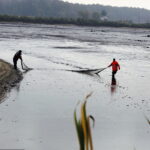 21.10.2017 Fałków. Stawy rybne. Przenoszenie karpia ze stawów do magazynów skąd będą odławiane przed świętami / Jarosław Kubalski / Radio Kielce