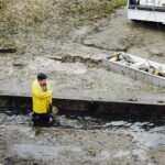 21.10.2017 Fałków. Stawy rybne. Przenoszenie karpia ze stawów do magazynów skąd będą odławiane przed świętami / Jarosław Kubalski / Radio Kielce
