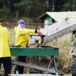 21.10.2017 Fałków. Stawy rybne. Przenoszenie karpia ze stawów do magazynów skąd będą odławiane przed świętami / Jarosław Kubalski / Radio Kielce