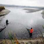 21.10.2017 Fałków. Stawy rybne. Przenoszenie karpia ze stawów do magazynów skąd będą odławiane przed świętami / Jarosław Kubalski / Radio Kielce