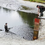 21.10.2017 Fałków. Stawy rybne. Przenoszenie karpia ze stawów do magazynów skąd będą odławiane przed świętami / Jarosław Kubalski / Radio Kielce