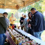 Piknik pszczelarski / Marzena Mąkosa / Radio Kielce