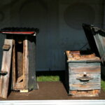 Piknik pszczelarski / Marzena Mąkosa / Radio Kielce