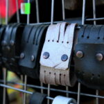 XI Hubertus Świętokrzyski. / Marzena Mąkosa / Radio Kielce