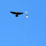 XI Hubertus Świętokrzyski. / Marzena Mąkosa / Radio Kielce