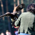 XI Hubertus Świętokrzyski. / Marzena Mąkosa / Radio Kielce