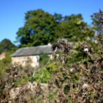 Wzgórze Karscha / Marzena Mąkosa / Radio Kielce