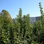 Wzgórze Karscha / Marzena Mąkosa / Radio Kielce