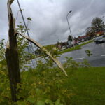 Straty spowodowane nocną wichurą. Ulica Sandomierska / Marzena Mąkosa / Radio Kielce