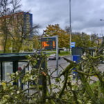 Straty spowodowane nocną wichurą. Ulica Sandomierska / Marzena Mąkosa / Radio Kielce