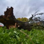 Straty spowodowane nocną wichurą. Ulica Sandomierska / Marzena Mąkosa / Radio Kielce