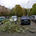 Straty spowodowane nocną wichurą. Ulica Sandomierska / Marzena Mąkosa / Radio Kielce