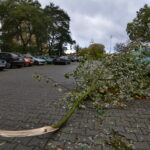 Straty spowodowane nocną wichurą. Ulica Sandomierska / Marzena Mąkosa / Radio Kielce