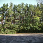 Działka na Stadionie / Marzena Mąkosa / Radio Kielce