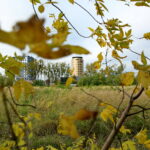 Plac pod nowe osiedle przy Zagnańskiej / Marzena Mąkosa / Radio Kielce