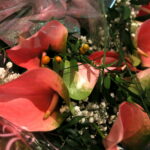 Medale za Długoletnie Pożycie Małżeńskie / Marzena Mąkosa / Radio Kielce