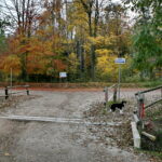 Parking w pobliżu klasztoru na Świętej Katarzynie / Marzena Mąkosa / Radio Kielce