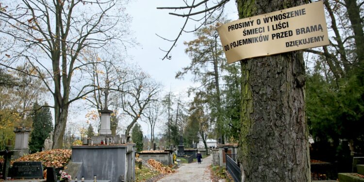 Cmentarz w Kielcach / Marzena Mąkosa / Radio Kielce
