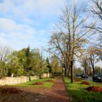 Przygotowania na Wszystkich Świętych. / Marzena Mąkosa / Radio Kielce