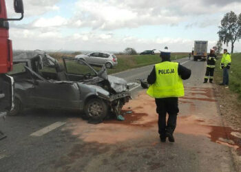 W wypadku w Soboszowie zginął 18-letni mężczyzna / Policja