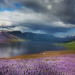 Zachodnia Islandia / Mirosław Lubarski