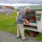 Zachodnia Islandia / Mirosław Lubarski