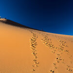 Muzyczne podróże przez świat. Sahara / Mirosław Lubarski