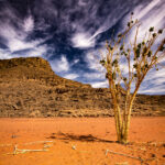 Muzyczne podróże przez świat. Sahara / Mirosław Lubarski