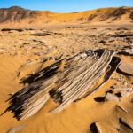 Muzyczne podróże przez świat. Sahara / Mirosław Lubarski