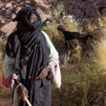 Muzyczne podróże przez świat. Sahara / Mirosław Lubarski