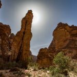 Muzyczne podróże przez świat. Sahara / Mirosław Lubarski