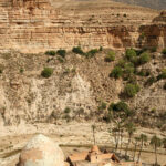 Muzyczne podróże przez świat. Algieria / Jerzy Jop / Radio Kielce