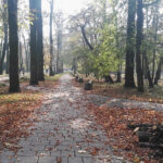 Busko-Zdrój. Jesienne prace porządkowe na terenach miejskiej zieleni. Na zdjęciu: Park Zdrojowy / Kamil Włosowicz / Radio Kielce