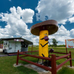 Zdjęcia Włodzimierza Batóga z podróży naukowych i wakacyjnych do Stanów Zjednoczonych / Włodzimierz Batóg / Radio Kielce