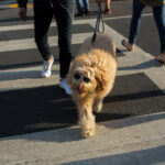 Zdjęcia Włodzimierza Batóga z podróży naukowych i wakacyjnych do Stanów Zjednoczonych / Włodzimierz Batóg / Radio Kielce