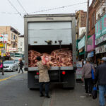 Zdjęcia Włodzimierza Batóga z podróży naukowych i wakacyjnych do Stanów Zjednoczonych / Włodzimierz Batóg / Radio Kielce