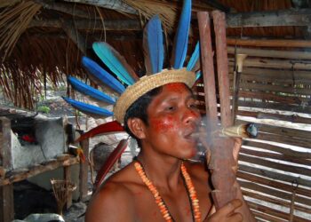 Muzyczne podróże przez świat. Amazonia / prof. dr hab. Marek Jóźwiak i dr hab. Małgorzata Anna Jóźwiak