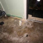 Kielce. Pożar mieszkanie na osiedlu Na Stoku / Michał Kita / Radio Kielce